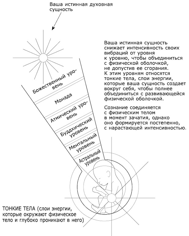 387878_3_i_006.png