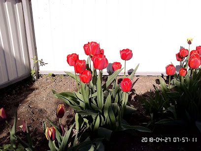 IMG_20180427_075710.jpg