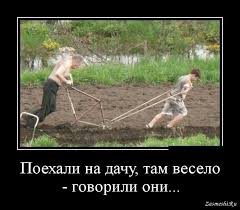 images (25).jpeg
