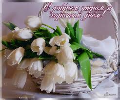 images (28).jpeg