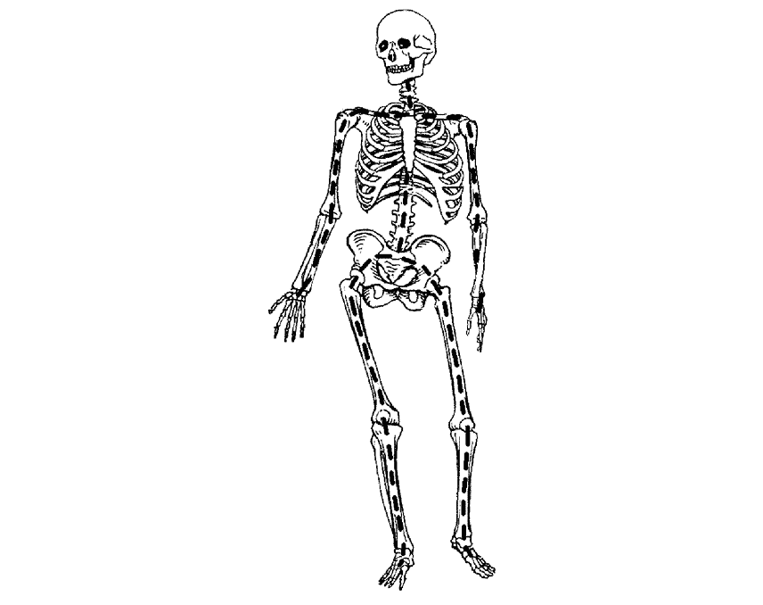 389265_7_i_003.png