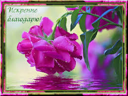 images (34).jpeg