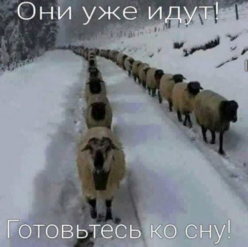 image (1).jpg