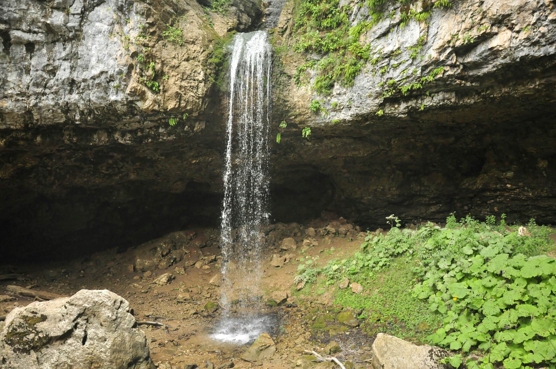_DSC0520_compress32.jpg
