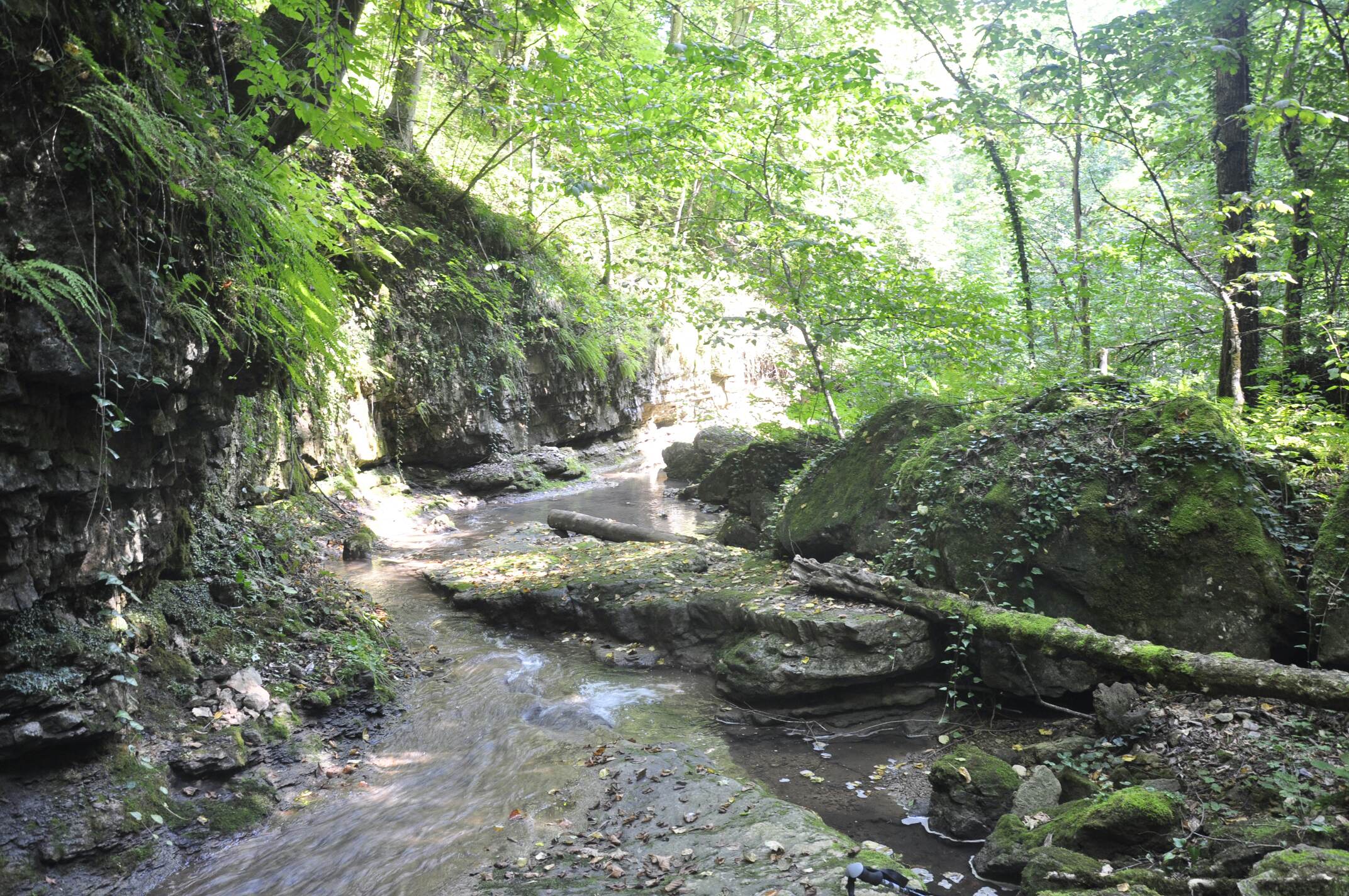 _DSC0464_compress24.jpg
