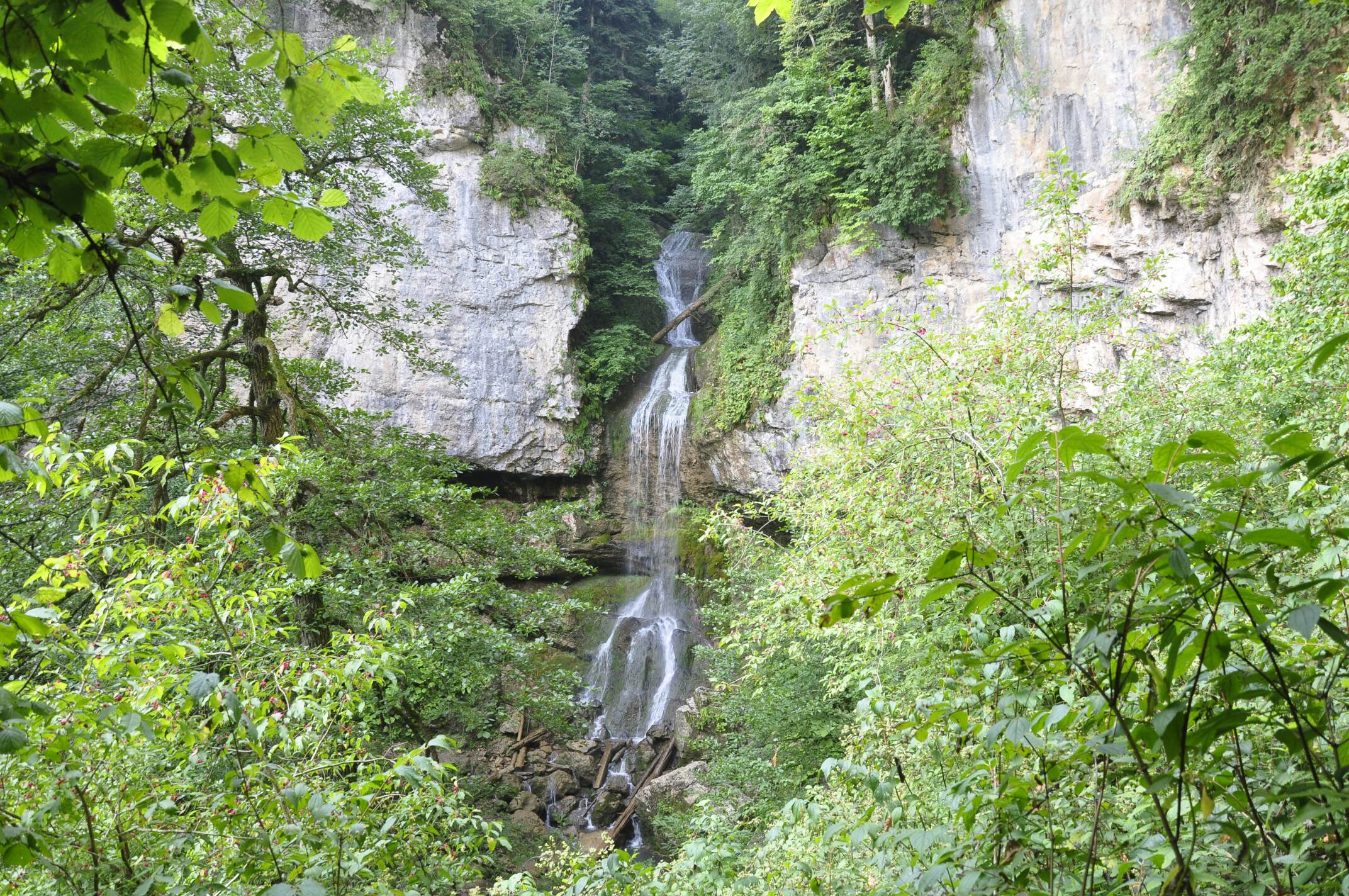 _DSC0402_compress48.jpg
