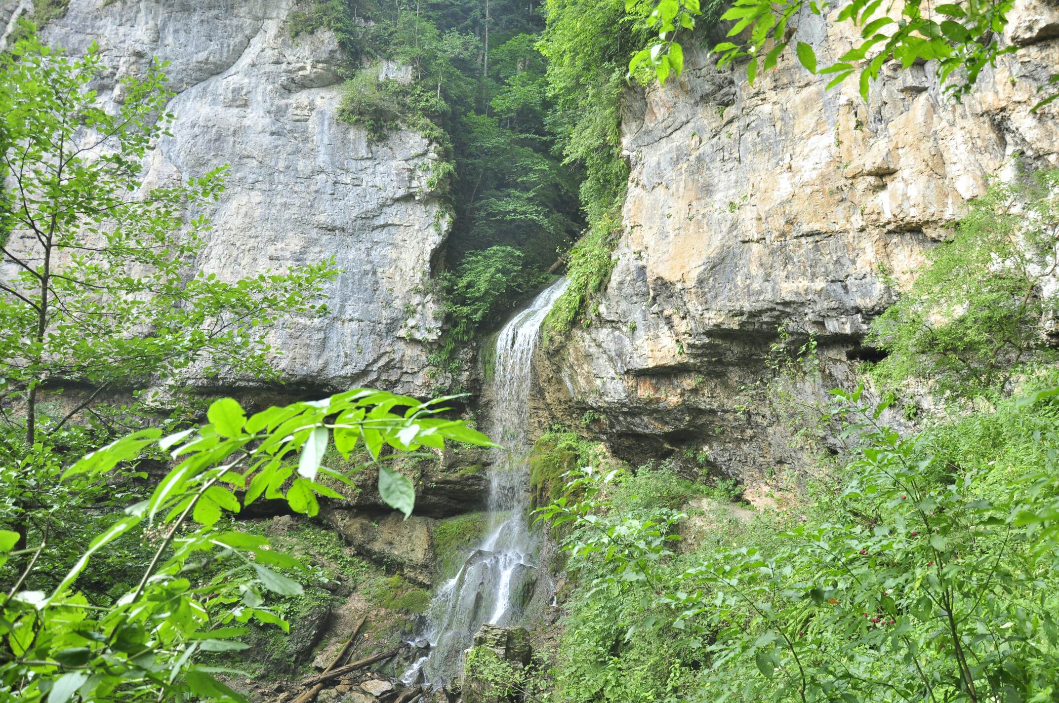 _DSC0384_compress4.jpg