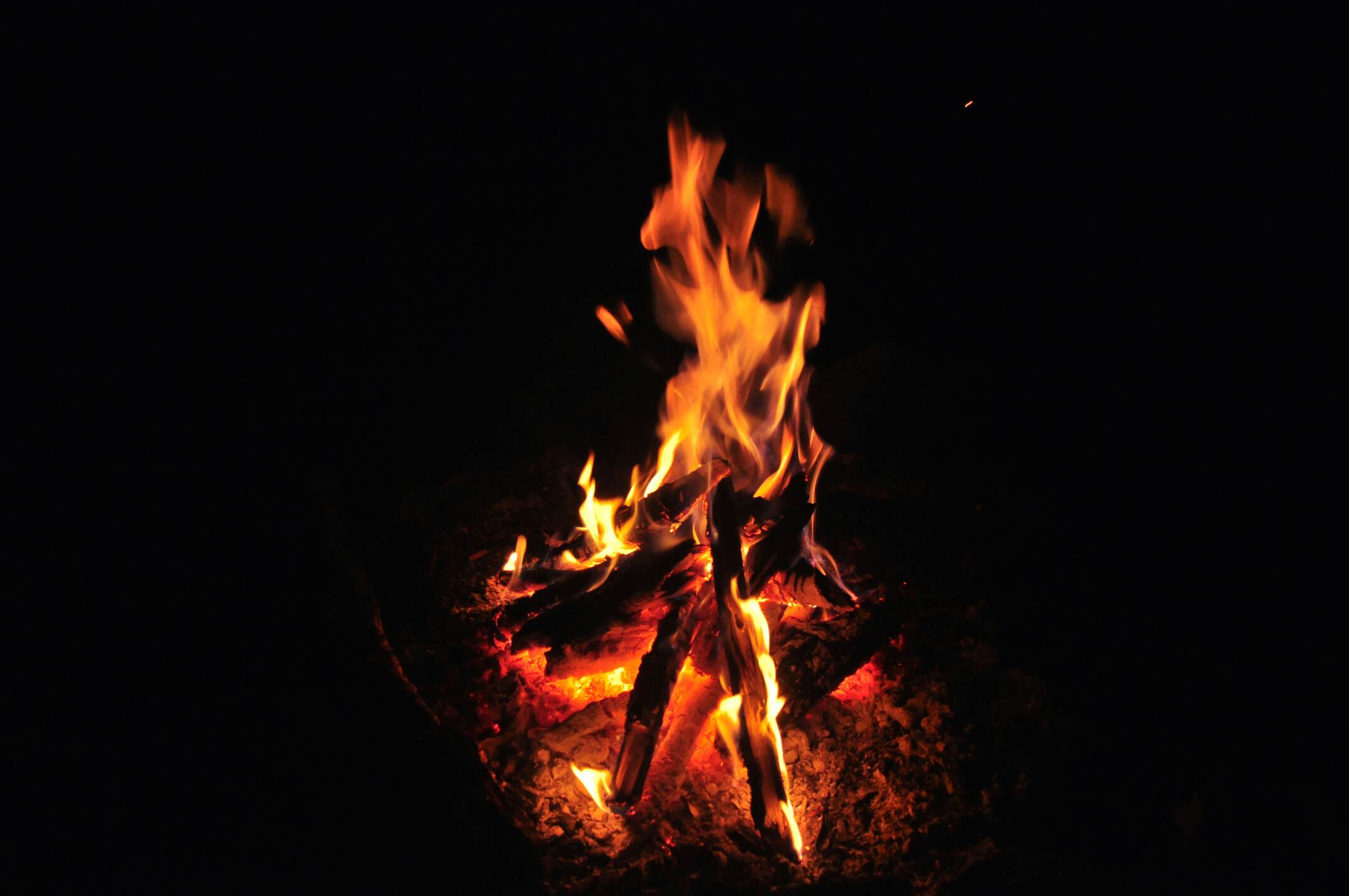 _DSC0331_compress20.jpg