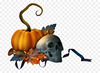 kisspng-pumpkin-clip-art-halloween-decorative-borders-jack-tubes-halloween-5c02351d512d89.8491286515436485413325.jpg