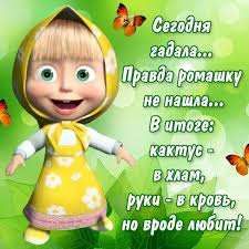 images (7).jpg
