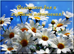 images (18).jpg