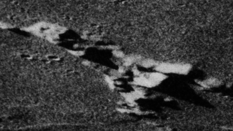 s99592347.jpg