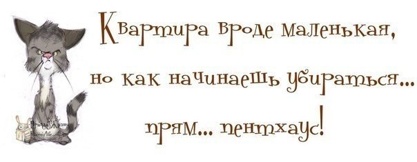 8mURUuGvQ7E.jpg