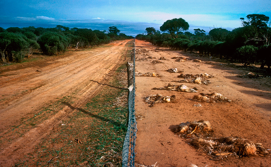 Australia_04.jpg