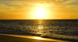 imgpreview (1).gif