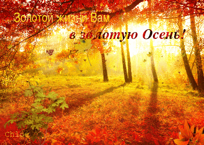 image_862510162005304227983.gif
