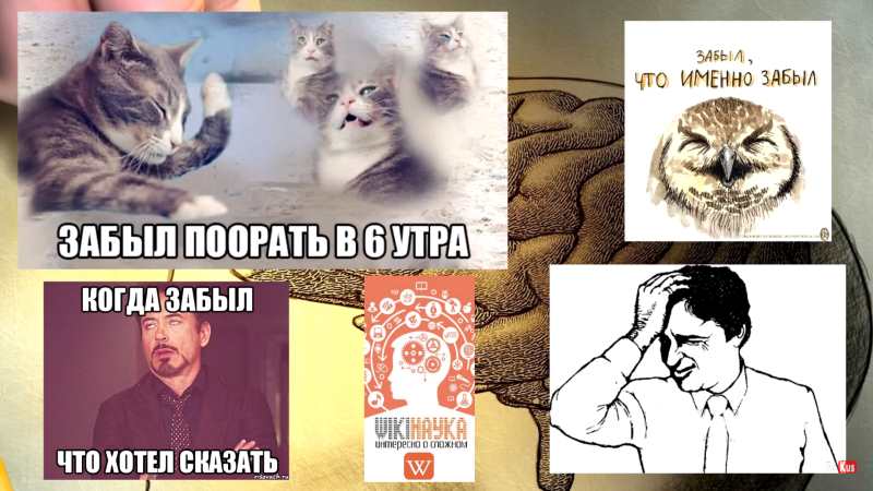вытесненные-мотивы-и-забывчивость-в-теории-фрейда.jpg
